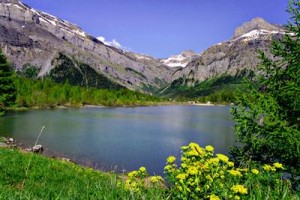 montagne en été